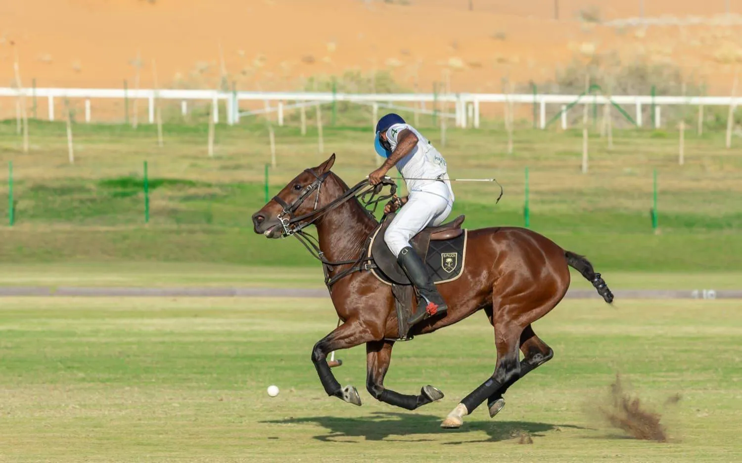 تعد هذه البطولة باكورة روزنامة موسم «بولو السعودية» (الشرق الأوسط)