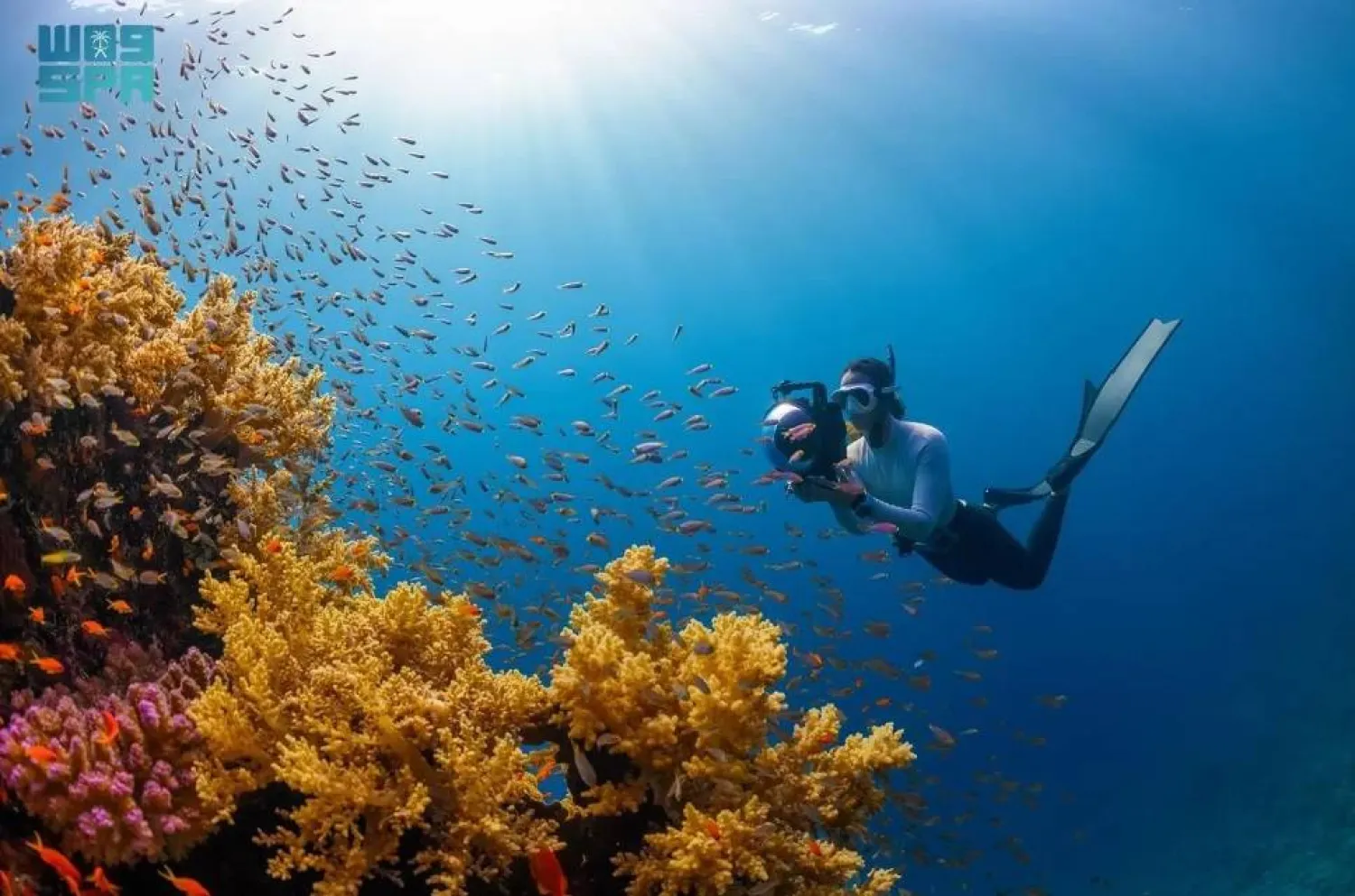 With Sindalah set to be the first of NEOM’s regions to welcome guests in 2024, the partnership with Dive Butler ensures that all visitors will have a truly luxurious Red Sea experience. SPA