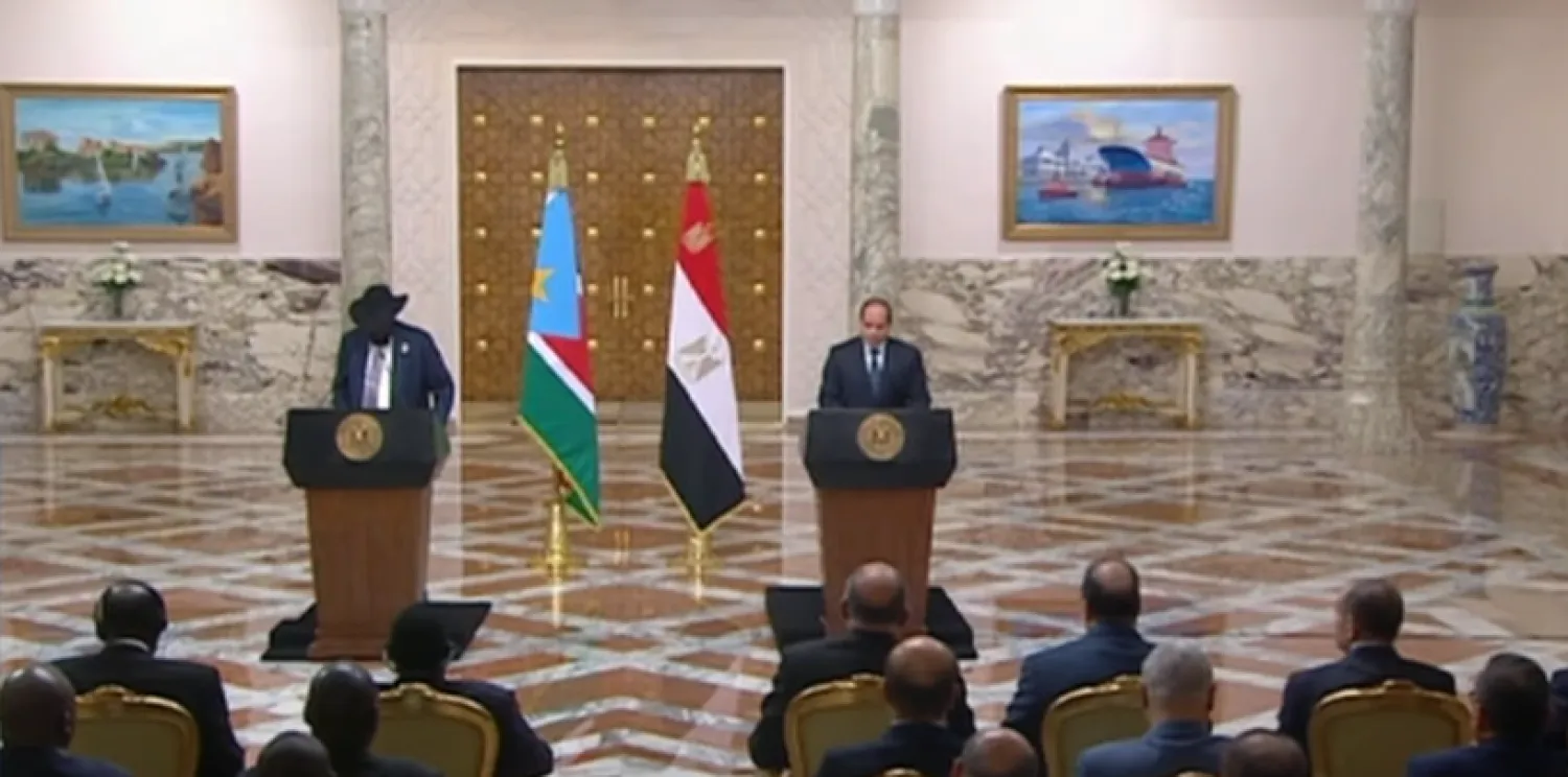 لقطة من فيديو بثته الرئاسة المصرية للمؤتمر الصحافي بين السيسي وسيلفاكير