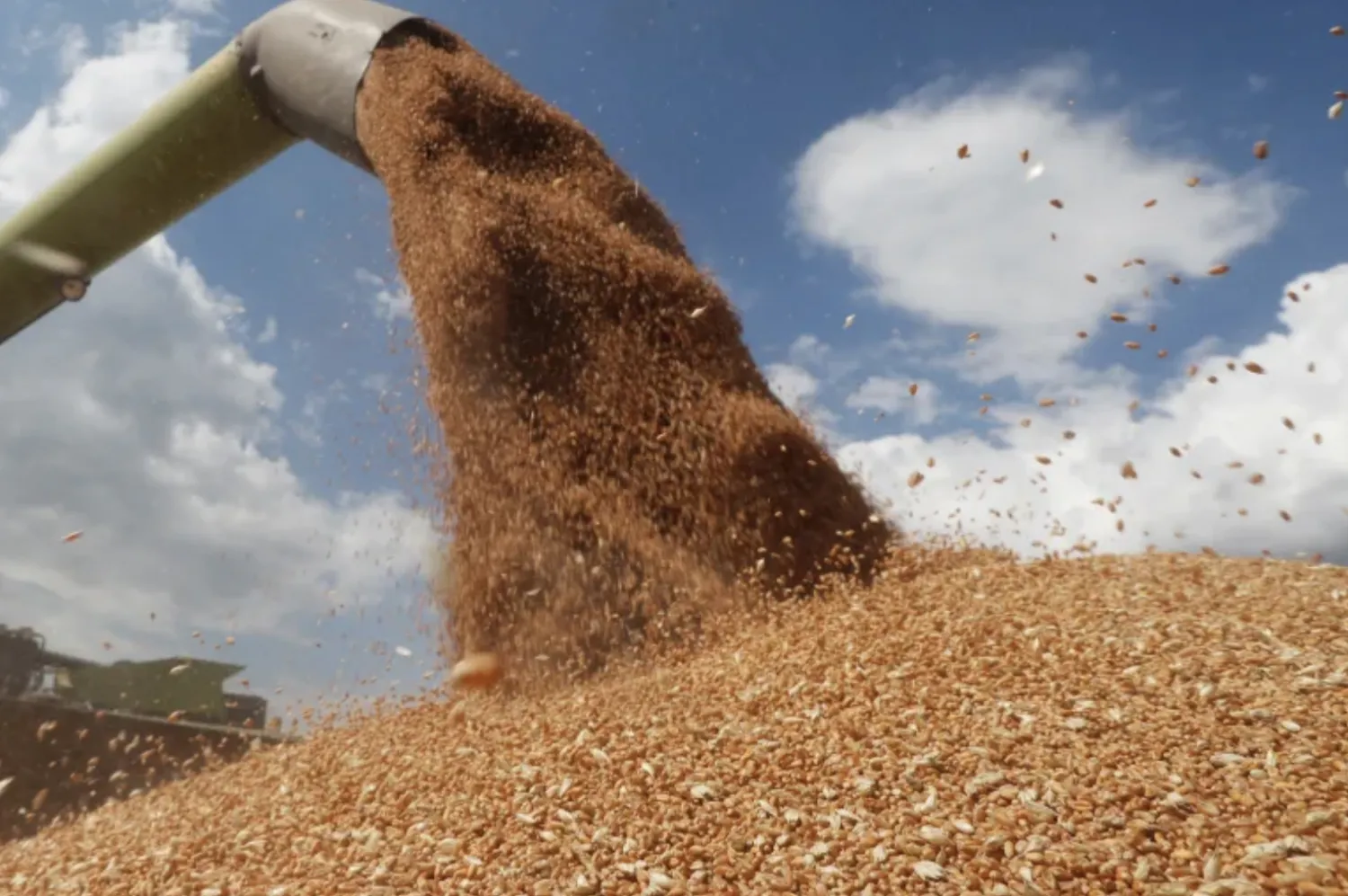 القمح الأوكراني سيشكل خطرا على مزارعي أوروبا (أرشيفية)