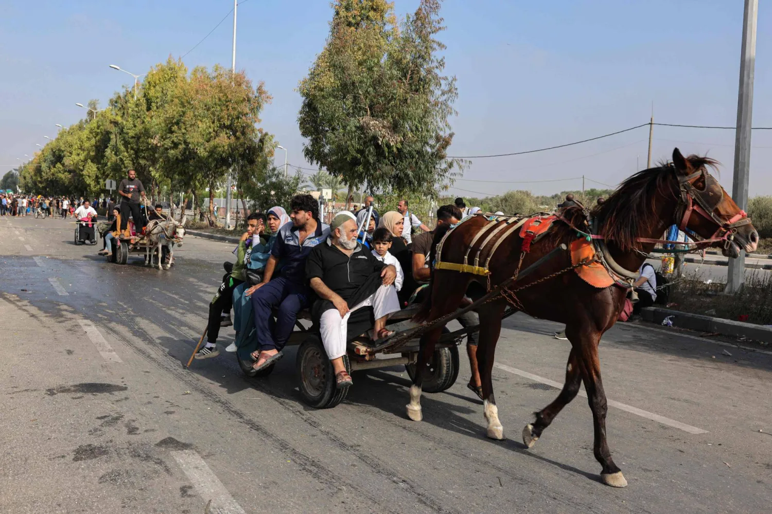 فلسطينيون يفرون من مدينة غزة وأجزاء أخرى من شمالها باتجاه المناطق الجنوبية يركبون عربات تجرها حيوانات في 8 نوفمبر 2023 (أ.ف.ب)