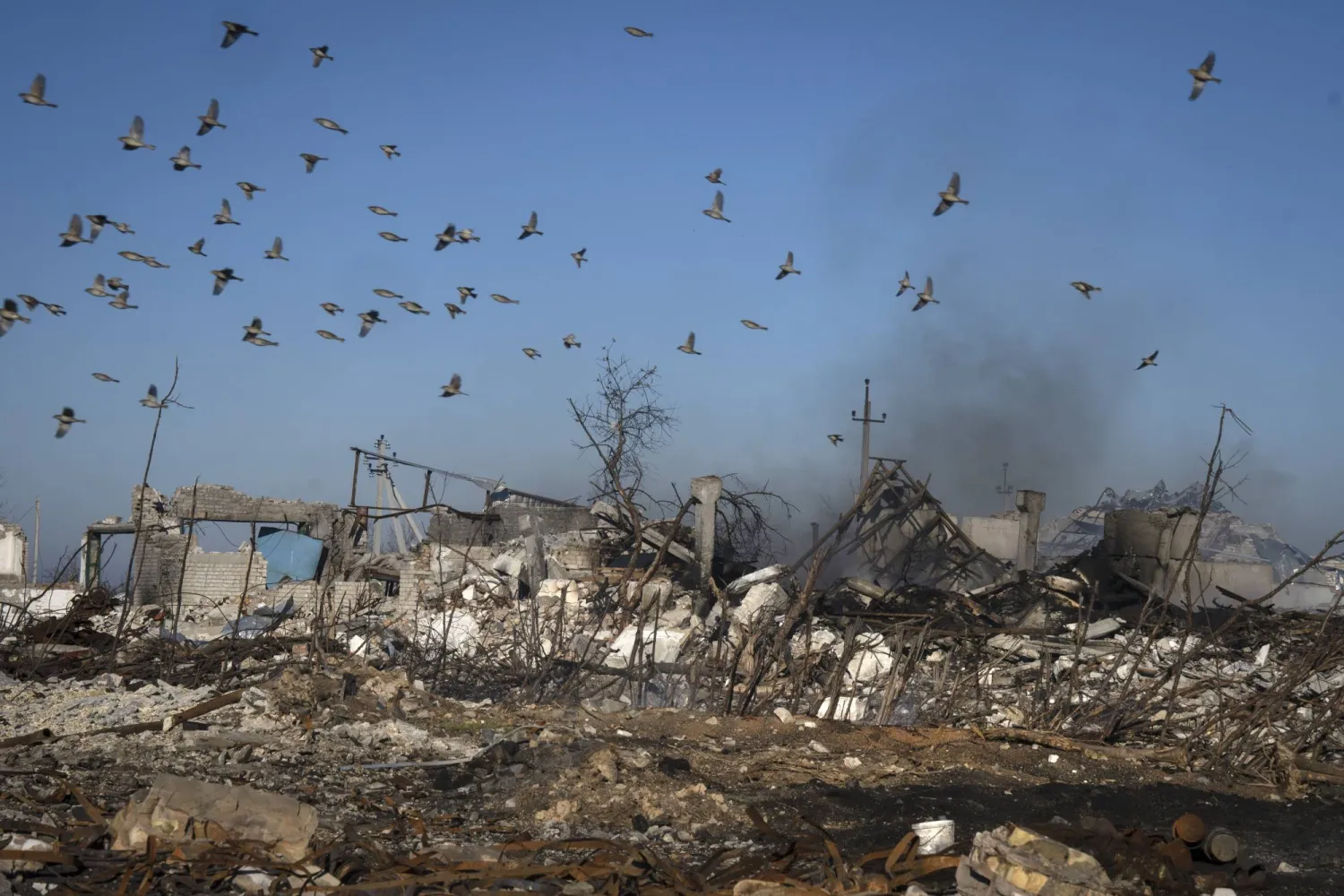 طيور تحلق وسط سحابة دخانية ناتجة عن قصف روسي على قرية قرب خيرسون (أ.ب)