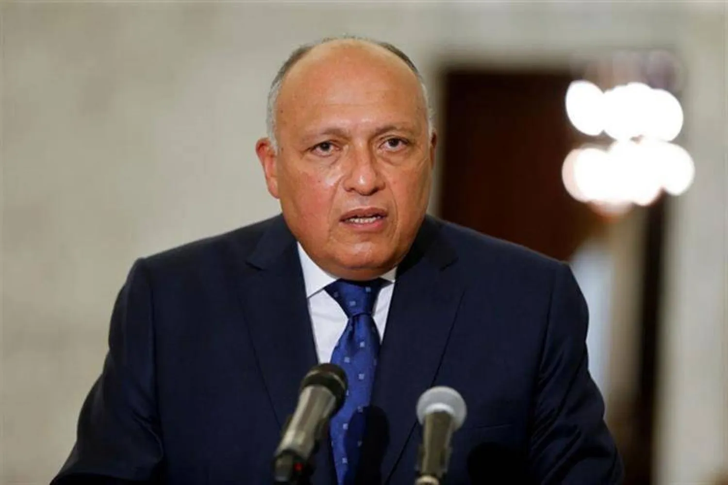 Egyptian Foreign Minister Sameh Shoukry. (AFP file photo)  