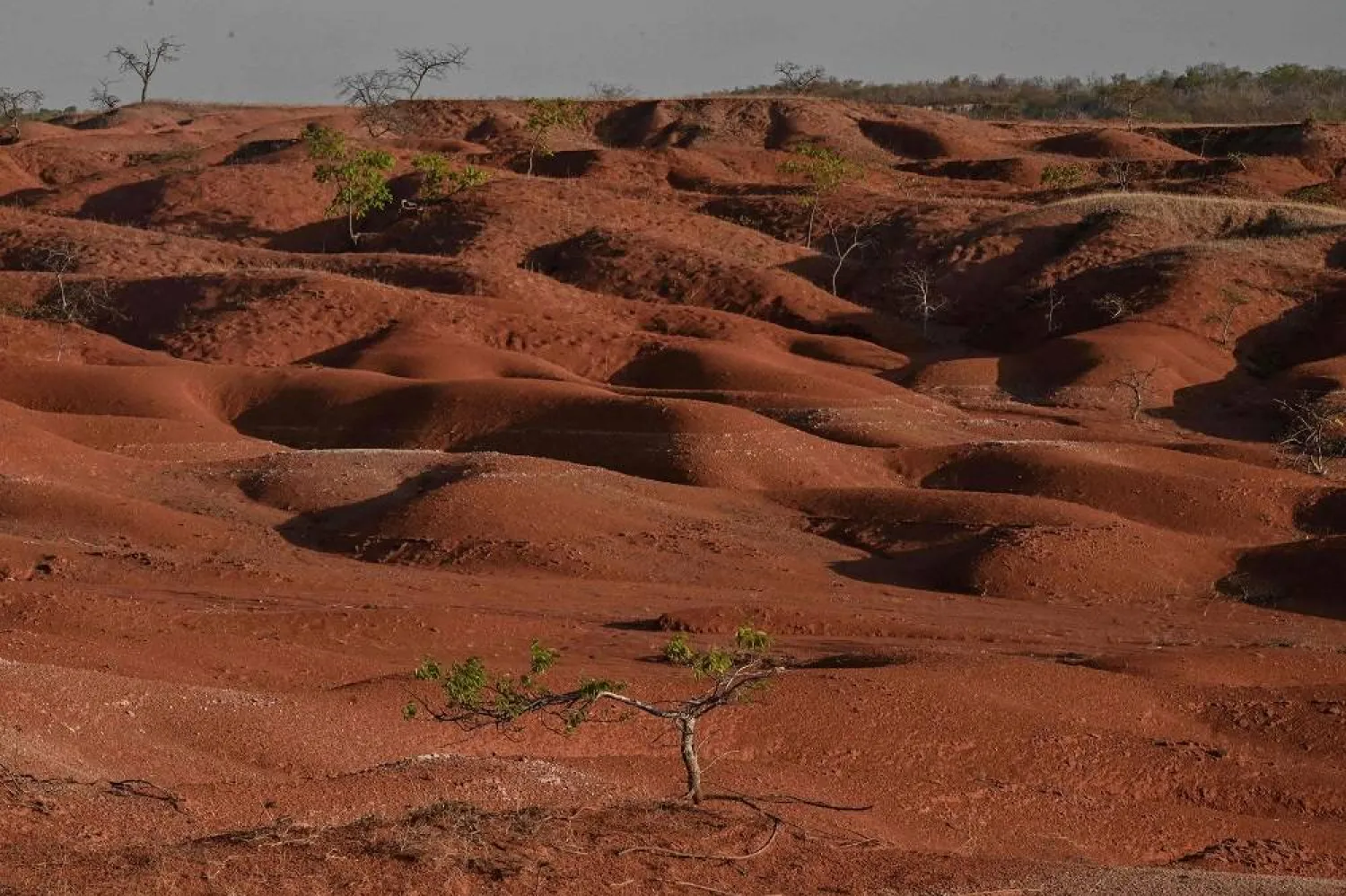 Picture taken at the Desert of Gilbues, in Gilbues, in the northeastern state of Piaui, Brazil, on September 30, 2023. (AFP)