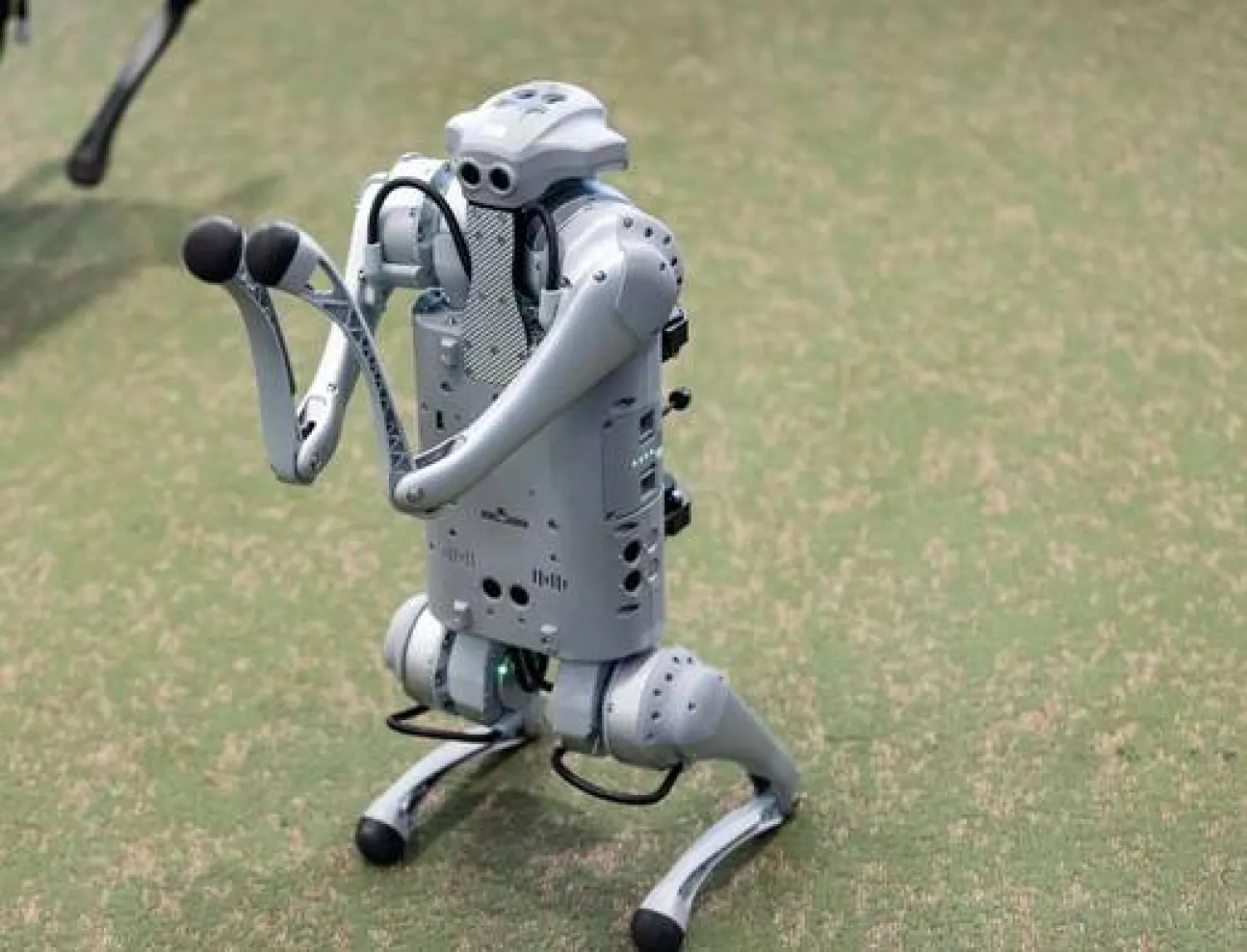 في الصين... روبوت على شكل كلب لـ«المهمات المستحيلة»