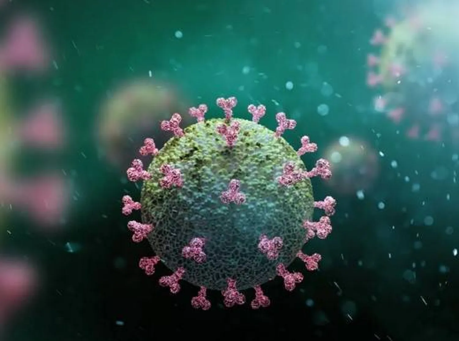 محاكاة حاسوبية تُظهر سلالات متحولة من كورونا استجابة للسلوك البشري !