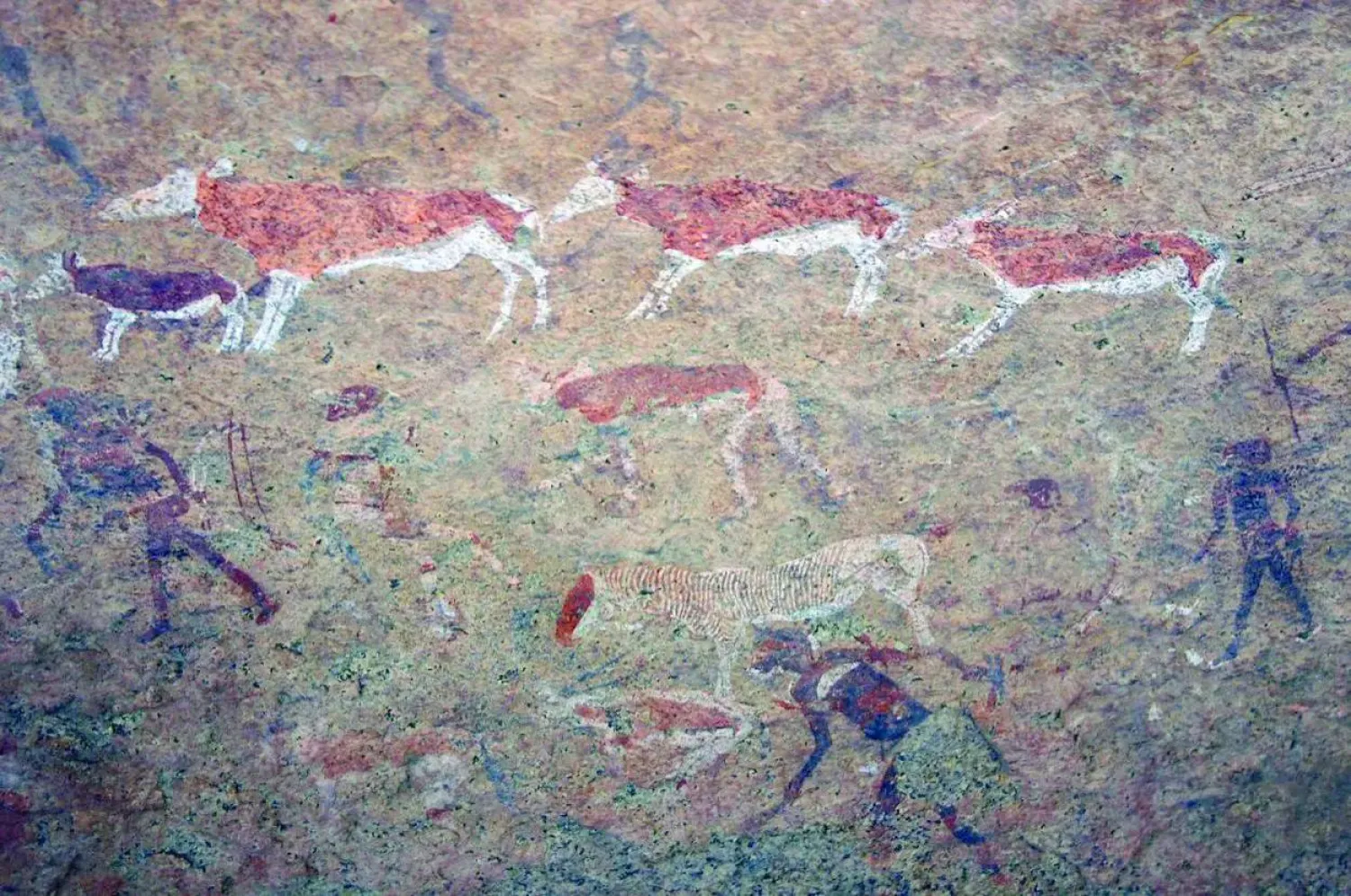 بقايا الحفريات تؤكد دور النساء في الصيد (وسائل التواصل الاجتماعي)