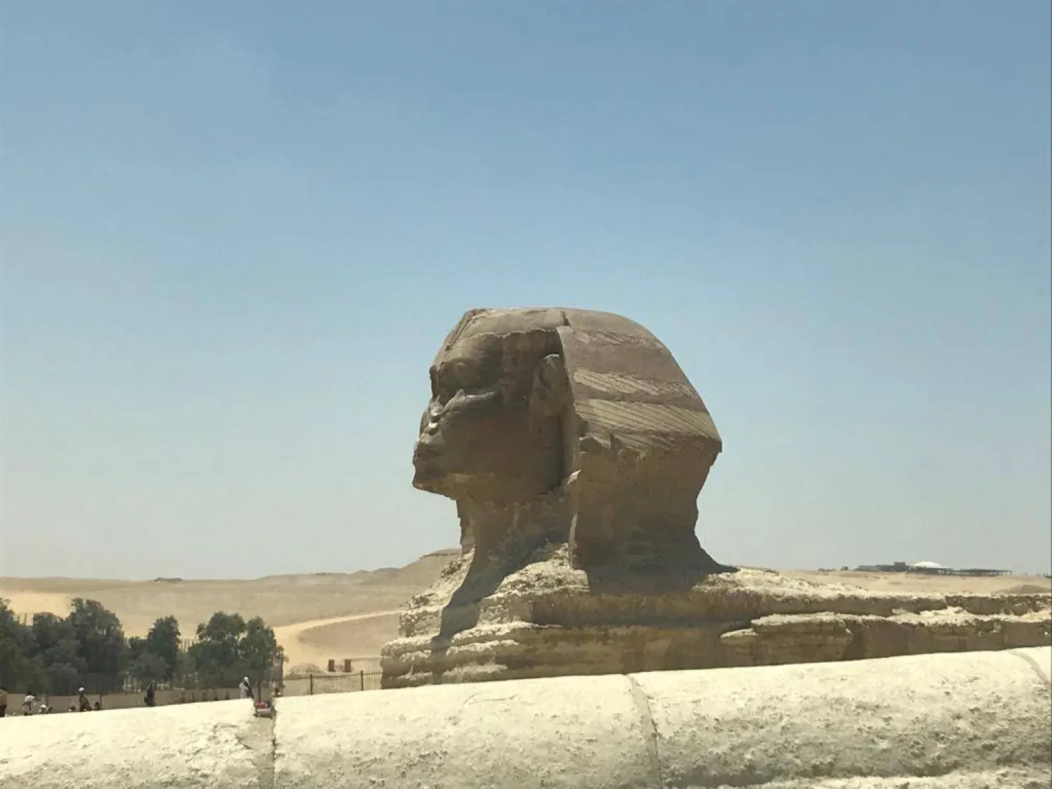 تمثال أبو الهول الشهير في الجيزة (الشرق الأوسط)