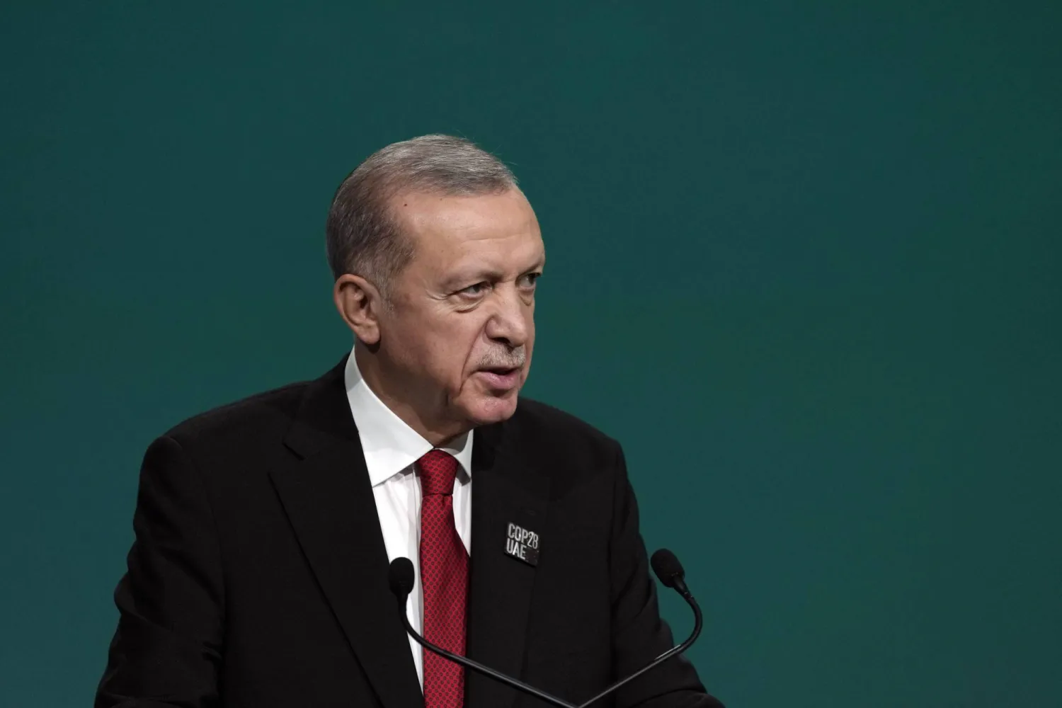 الرئيس التركي رجب طيب إردوغان (أ.ب)