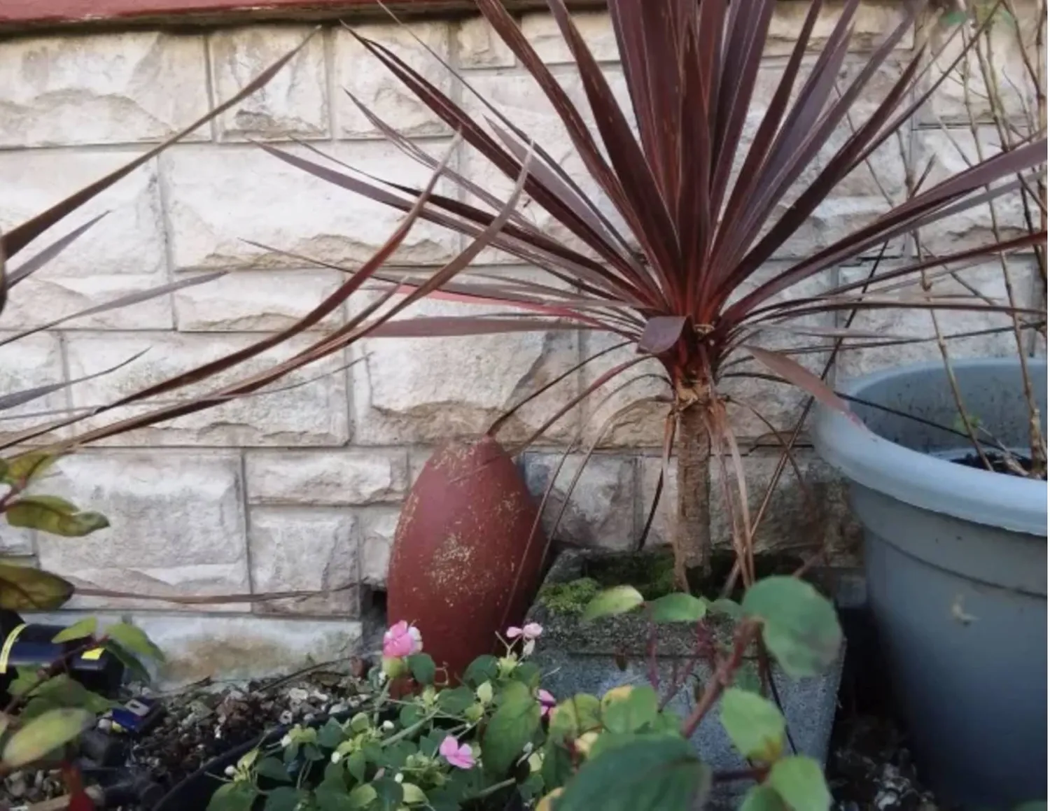 أحيطت القنبلة بالخرسانة وطليت باللون الأحمر
