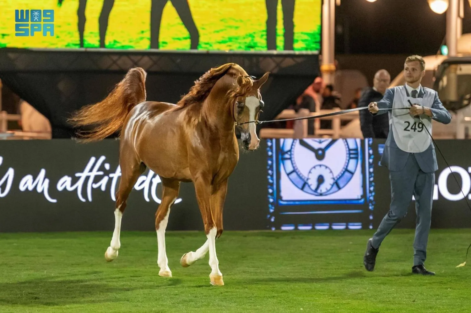 جانب من منافسات العرض الدولي السادس لجمال الخيل العربية الأصيلة (واس)