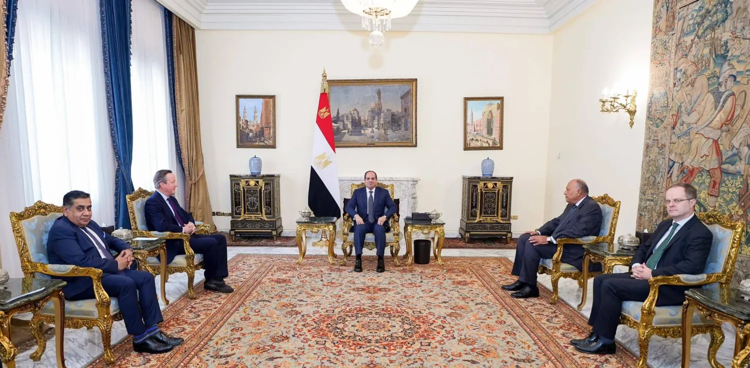 السيسي خلال مباحثات في القاهرة مع ديفيد كاميرون (الرئاسة المصرية)
