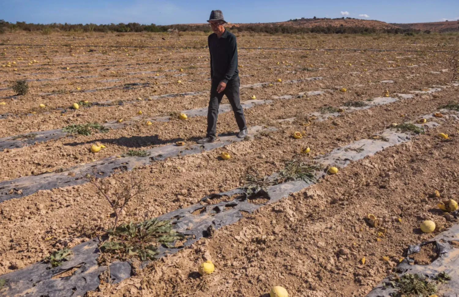 A farmer walks down his dried-out melon field FADEL SENNA AFP
