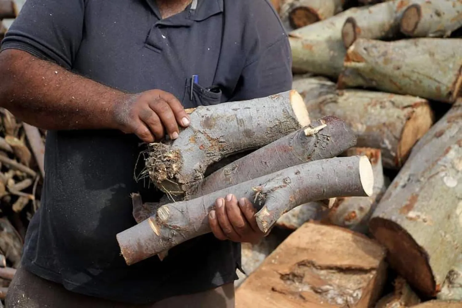 يحمل الحطب بعد التقطيع في غزة (أرشيفية - موقع عرب 48)