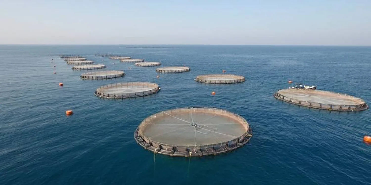 جانب من أحواض الاستزراع السمكي في سلطنة عُمان (العمانية)