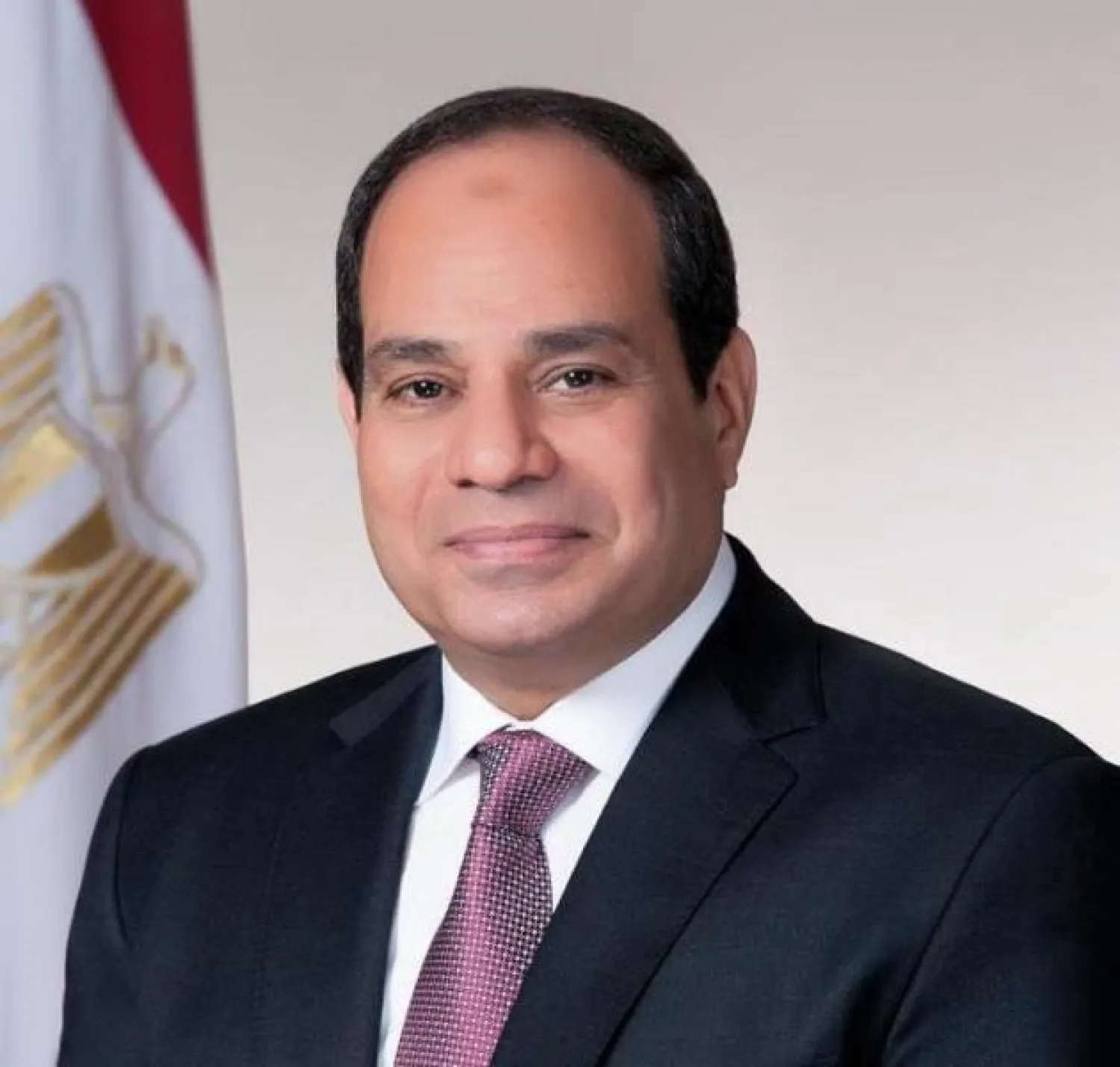 الرئيس المصري عبد الفتاح السيسي (الرئاسة المصرية)
