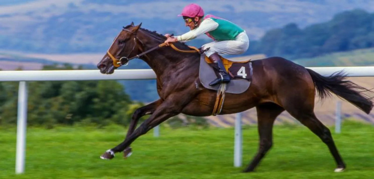 «دانسنغ بريف» من أبرز الجياد التي كان يملكها الأمير خالد بن عبد الله بن عبد الرحمن رحمه الله (الشرق الأوسط)