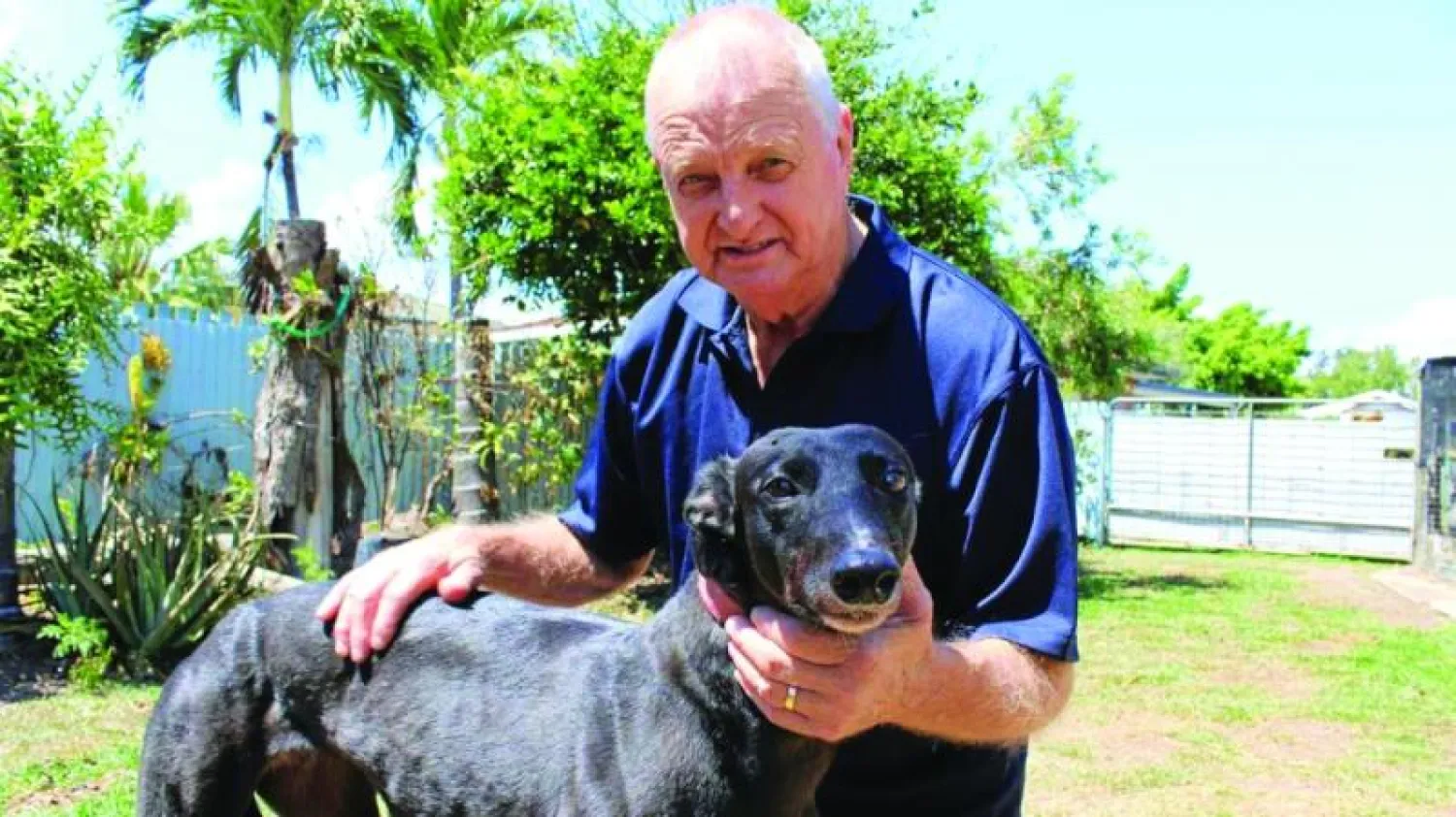 تربية المسنين للحيوانات  تُحسّن ذاكرتهم