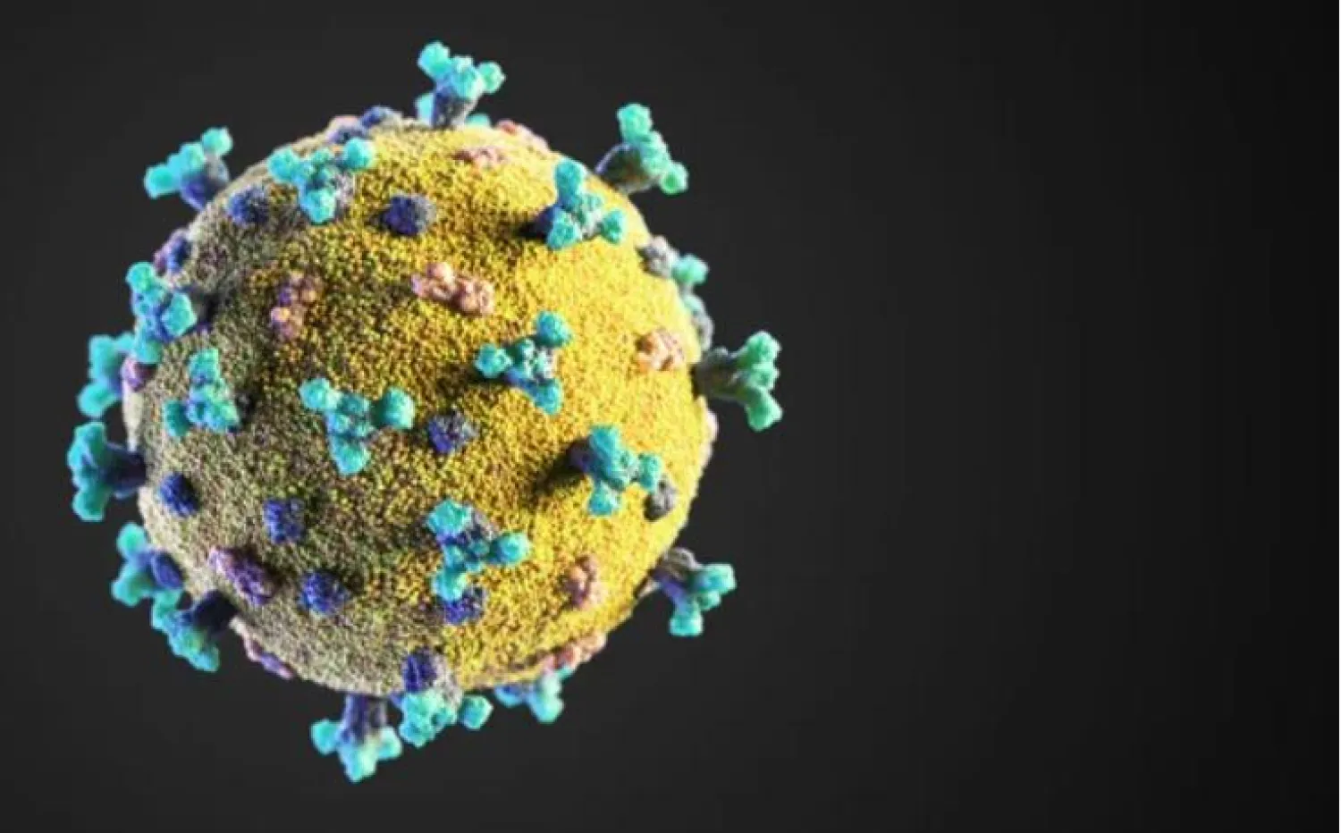 طفرة في المتحور «كراكن» منحته قدرة كبيرة على الالتصاق بالخلايا البشرية (Stock Photo)