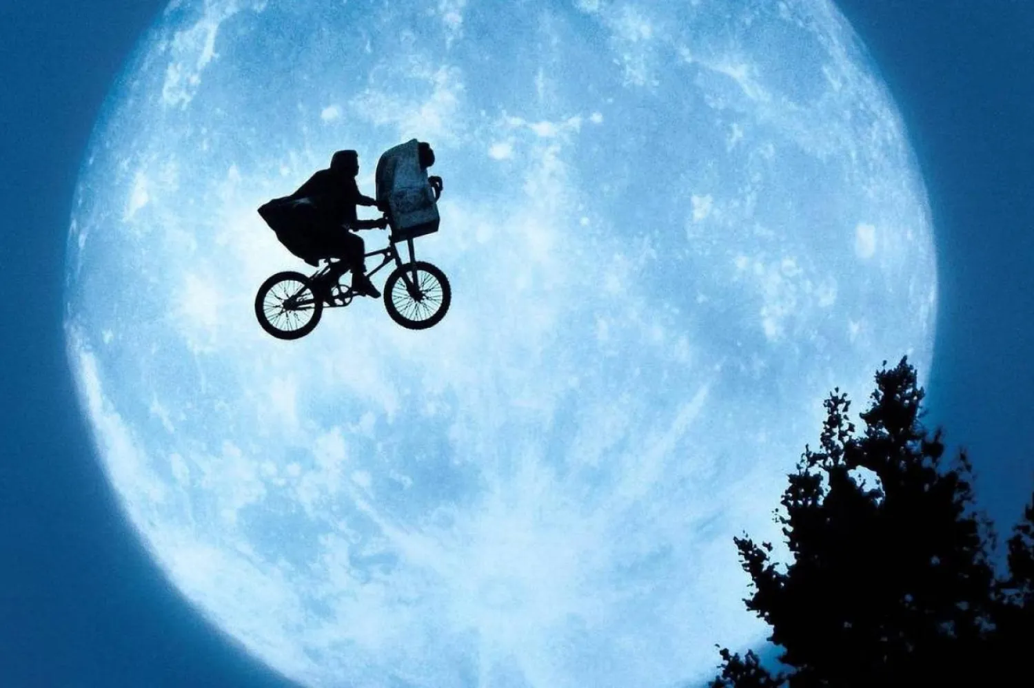 Film, Elliot adlı bir çocuğun, uzaylıların yanlışlıkla geride bıraktığı bir canlıyla arkadaşlığını konu alıyor (Universal Pictures)

