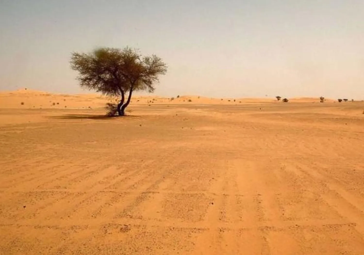 جانب من الصحراء جنوب الجزائر (أرشيفية - أ.ف.ب)