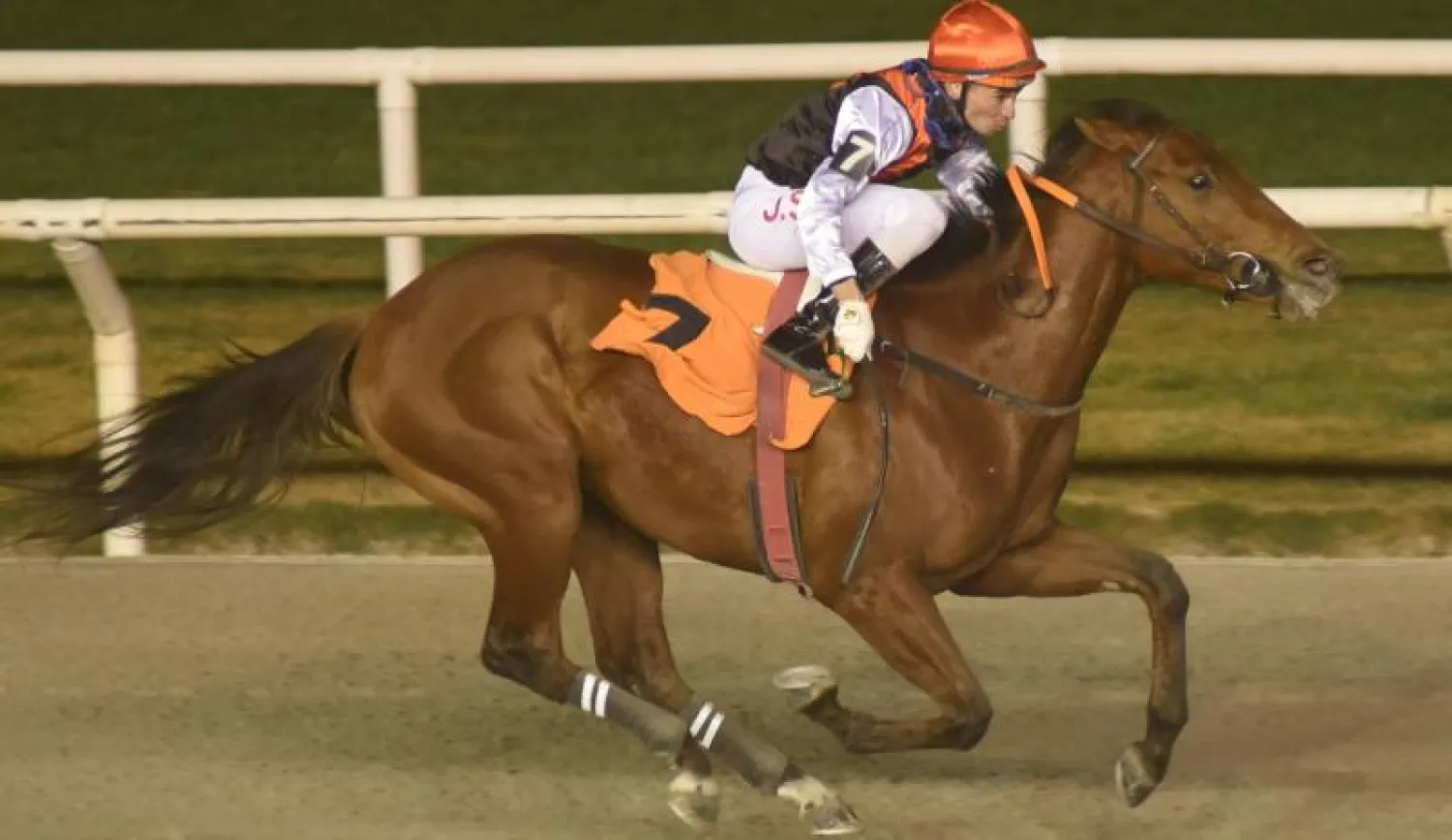 الجواد "إس-يونيكو" لحظة فوزه في سباق "غران كرايتريوم" بالأوروغواي(الشرق الأوسط)