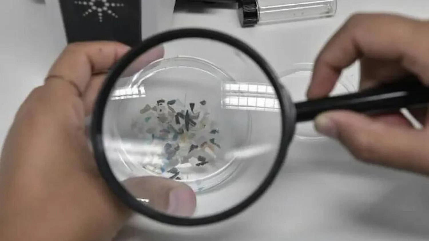 جزيئات بلاستيكية دقيقة (أ.ف.ب)