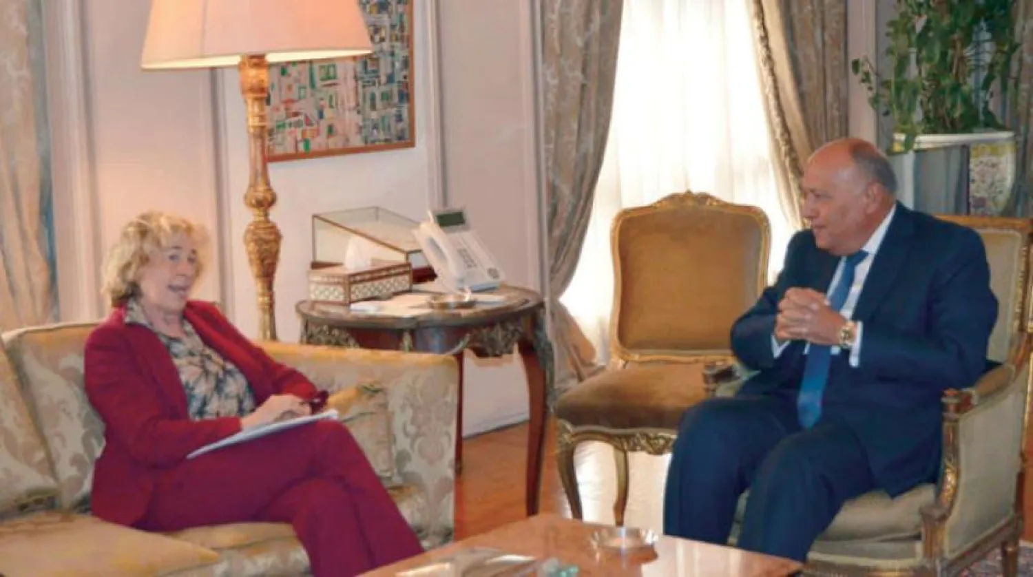 Egyptian Foreign Minister Sameh Shoukry during his meeting in Cairo with Stefania Craxi, chairwoman of the Italian Senate's Defense and Foreign Affairs Committee (Egyptian Foreign Ministry) 

