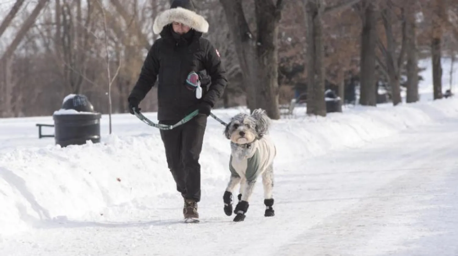 Kanada Çevre Bakanlığı, ülkenin doğusundaki kutup soğuğuna ilişkin uyarı yayınladı (AP)