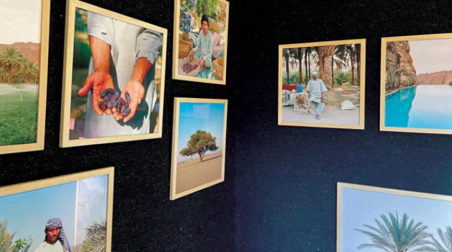 Küçük bir fotoğraf sergisi için kurUlân bedevi çadırı (Şarku’l Avsat)