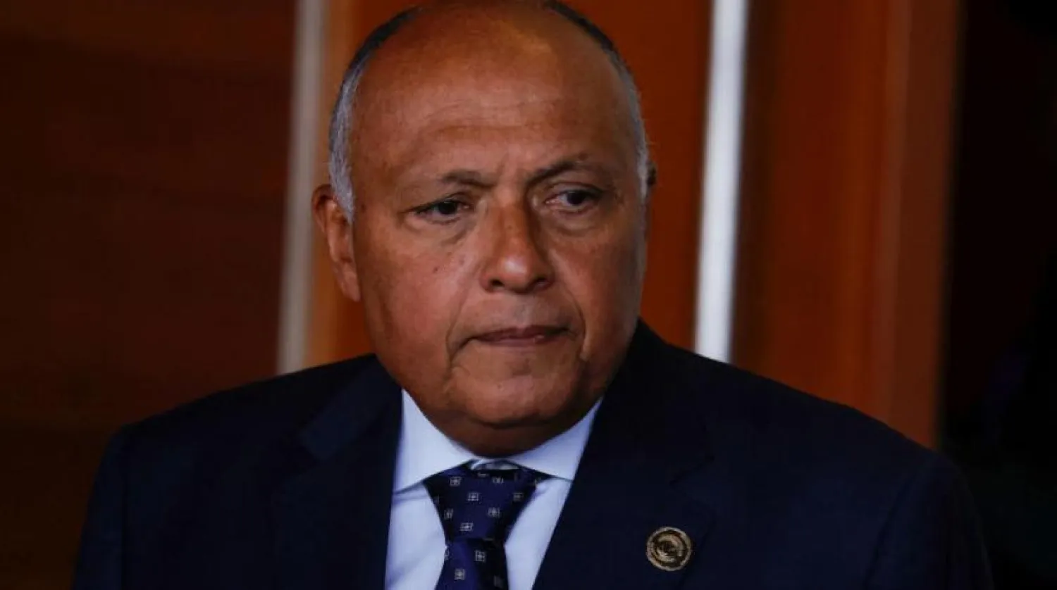 Mısır Dışişleri Bakanı Samih Şukri (arşiv)
