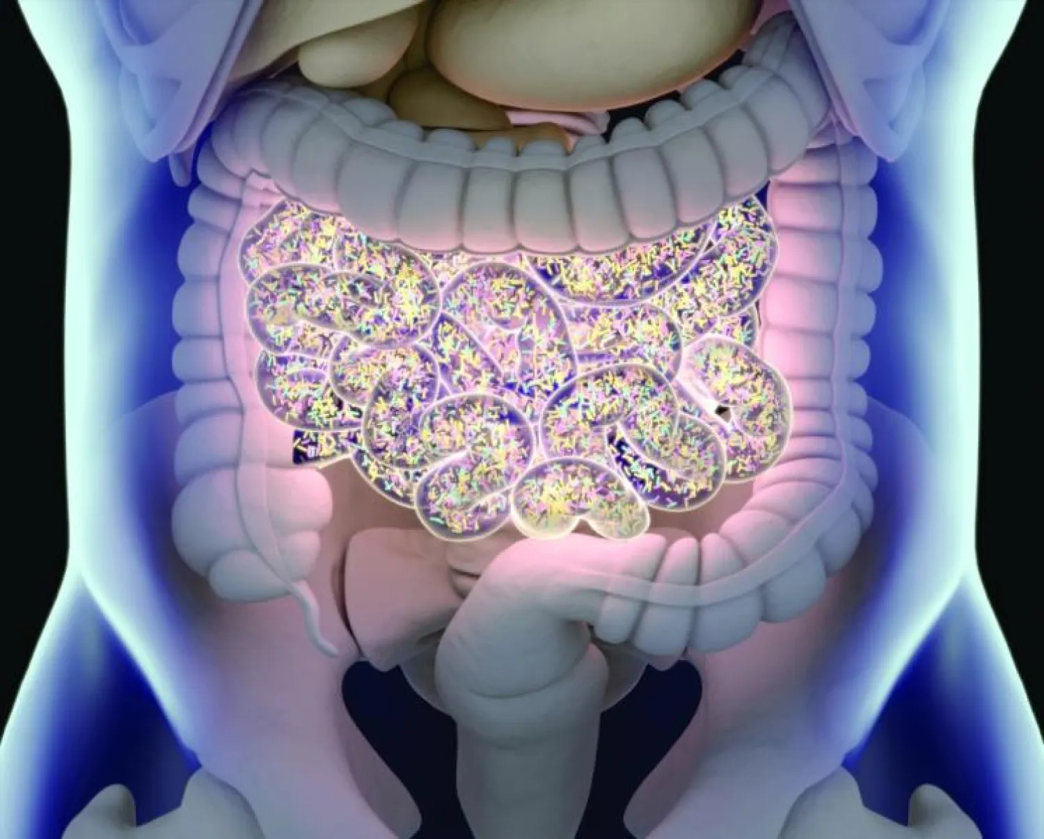 اكتشاف دور جديد لبكتيريا الأمعاء في علاج السرطان (غيتي)