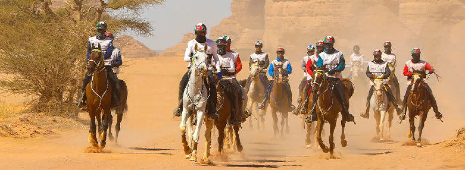 مشاركة واسعة سيشهدها سباق القدرة والتحمل في محافظة العلا (الشرق الأوسط)