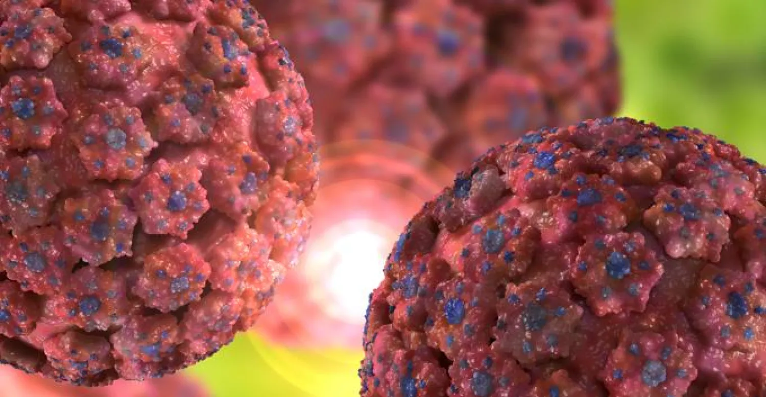 الخلايا المناعية يتم تغذيتها بقطعة من البروتين مرتبطة بالفيروس المسبب للسرطان (جامعة كولورادو الأميركية)