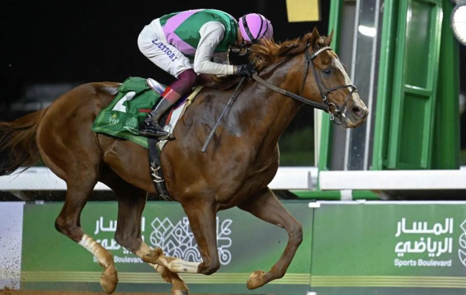 الجواد إيليت باور في أحد السباقات (الشرق الأوسط)