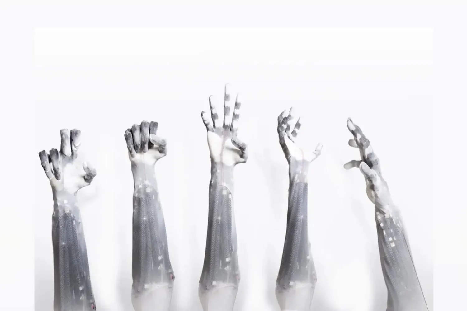 Şirket yetkilileri tasarımlarında doğadan ilham aldıklarını söylüyor (Clone Robotics)

