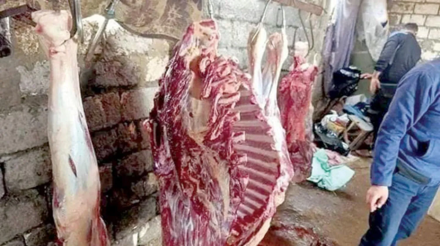 صورة نشرتها الصفحة الرسمية لمحافظة الدقهلية لضبط لحوم خيول معروضة للبيع (فيسبوك)