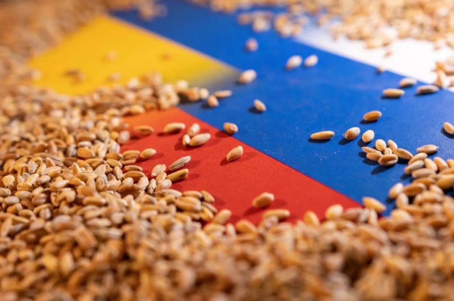Grain is placed on Ukrainian and Russian flags in this picture illustration taken May 9, 2022. REUTERS/Dado Ruvic/Illustration/