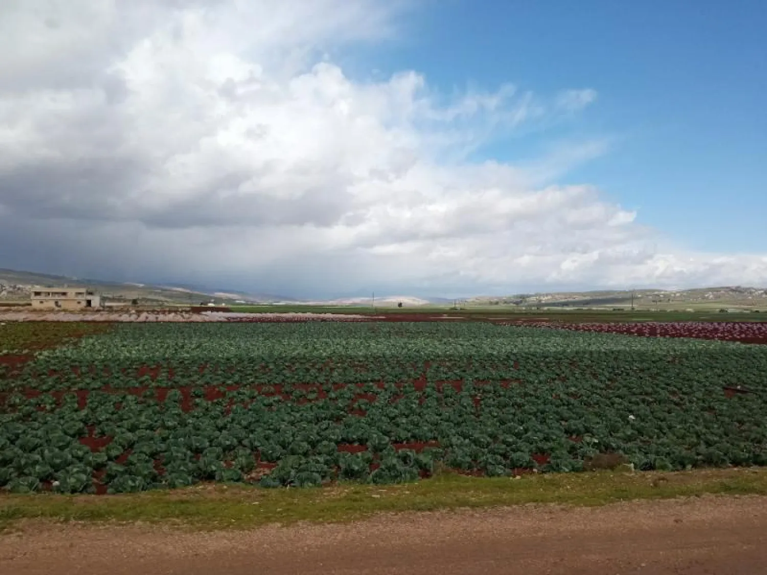 سهول زراعية في منطقة جسر الشغور بريف إدلب الغربي (الشرق الأوسط)