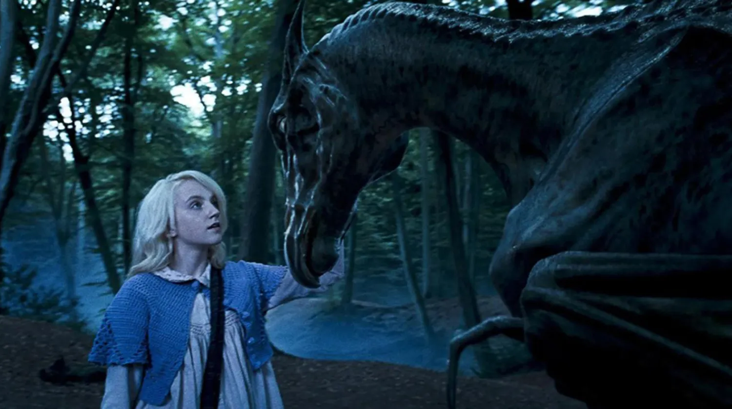  Harry Potter ve Zümrüdüanka Yoldaşlığı 2007'de vizyona girdi (Warner Bros)