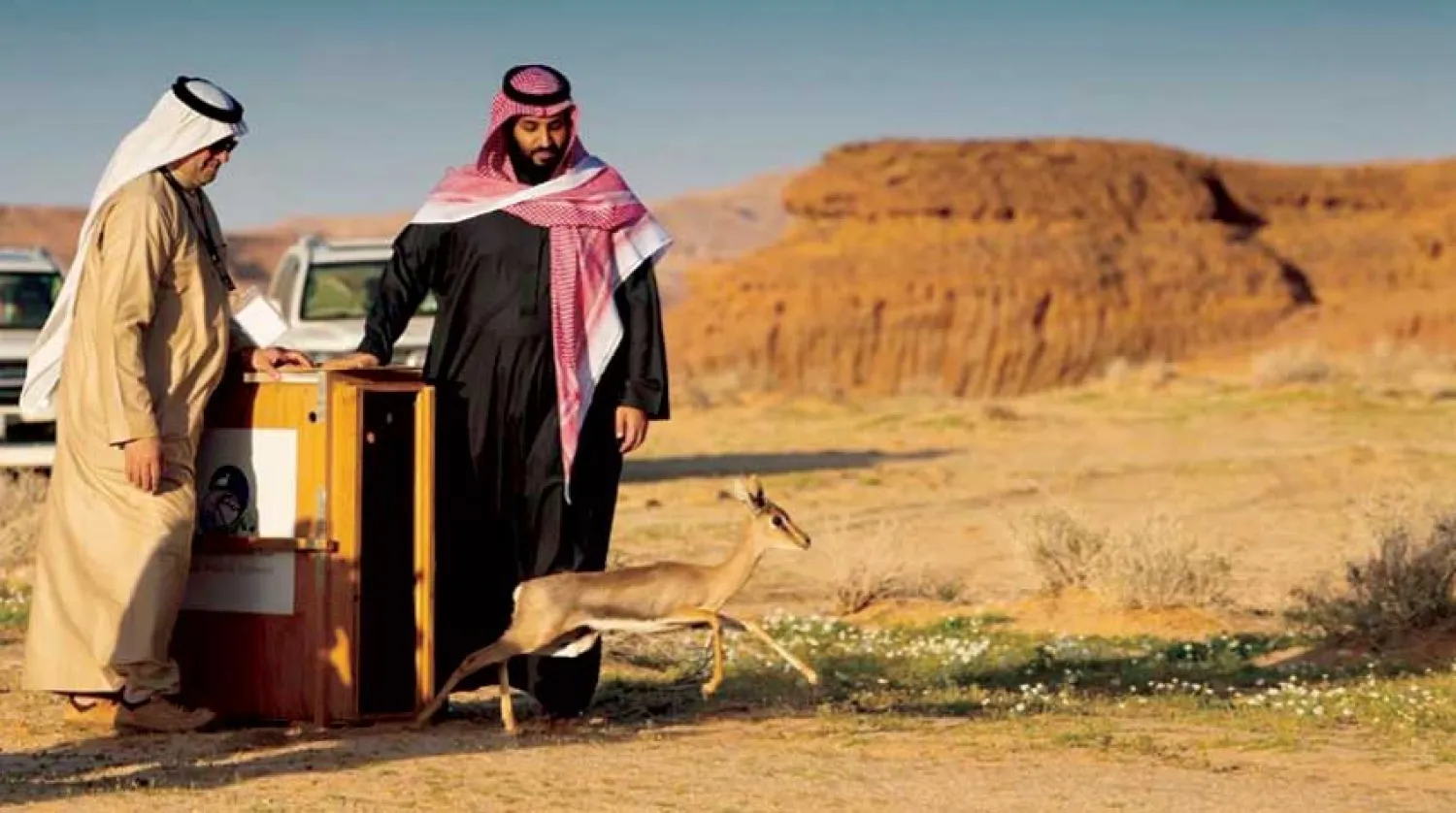 Saudi Crown Prince Mohammed bin Salman (Asharq Al-Awsat)