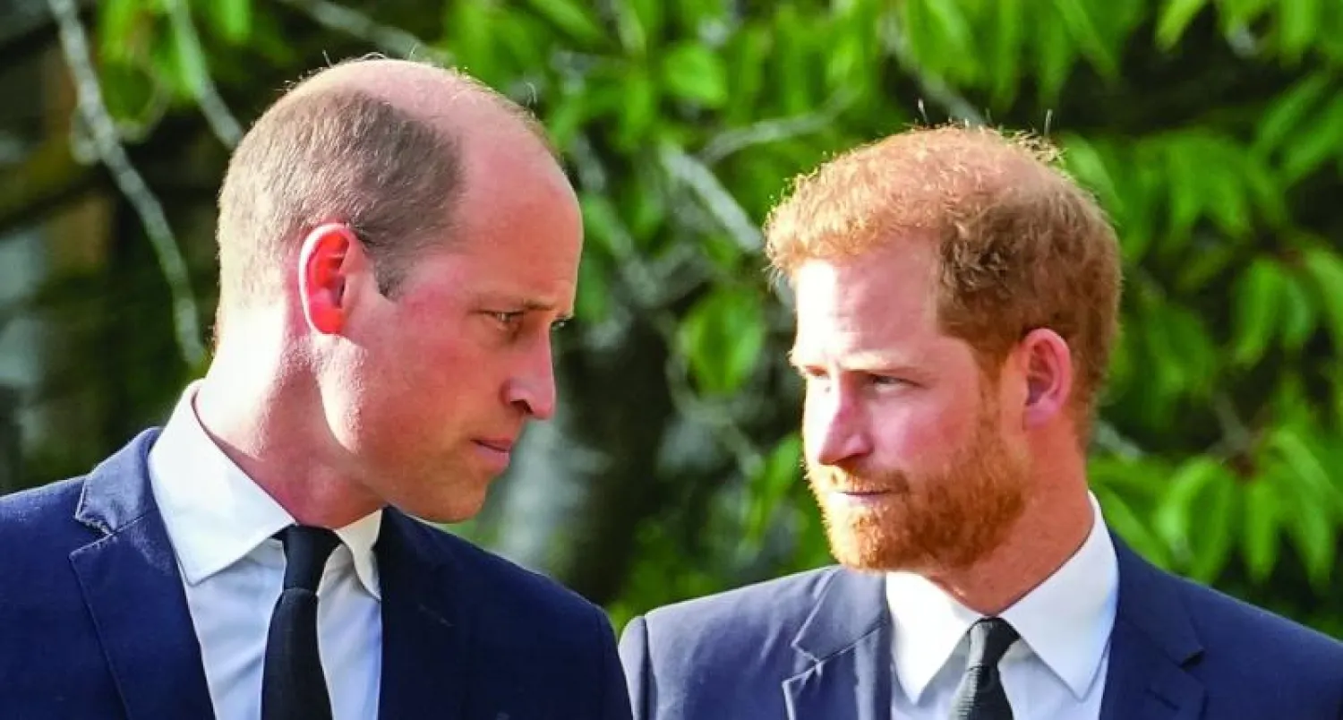 الأميران هاري وويليام في لقطة أرشيفية (أ.ب)