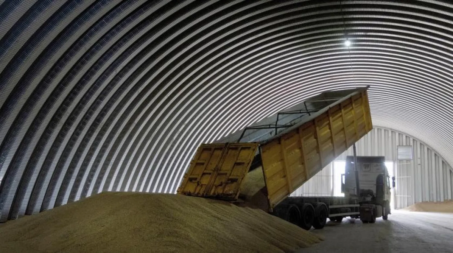 A dump track unloads grain in a granary in the village of Zghurivka, Ukraine, Aug. 9, 2022. (AP)
