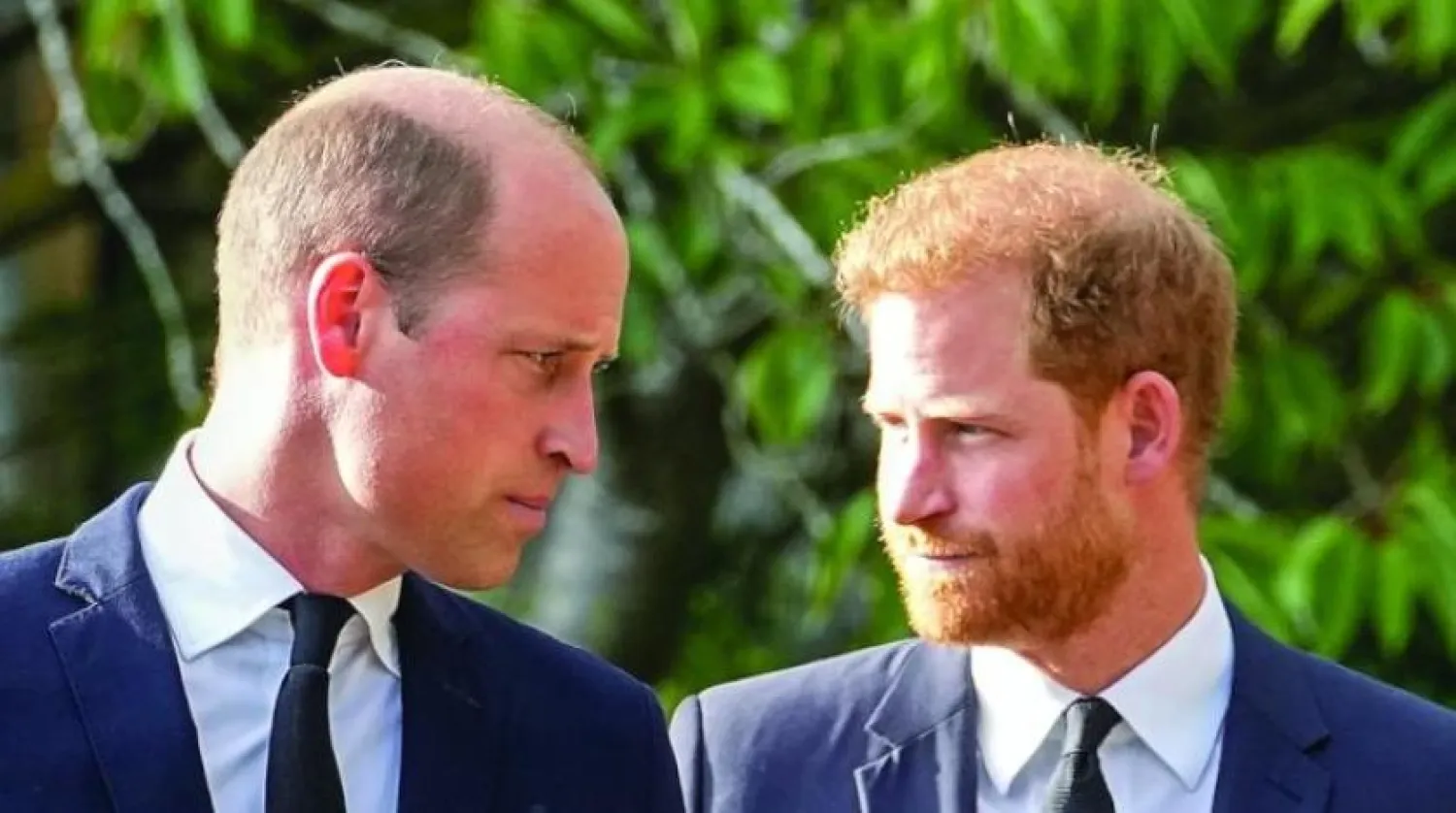 Prens Harry ve William (AP)
