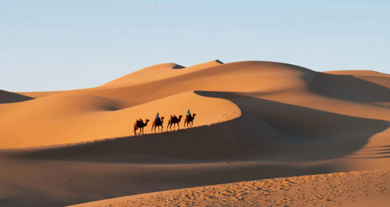 الرواية الليبية... الإنسان والحيوان والطبيعة