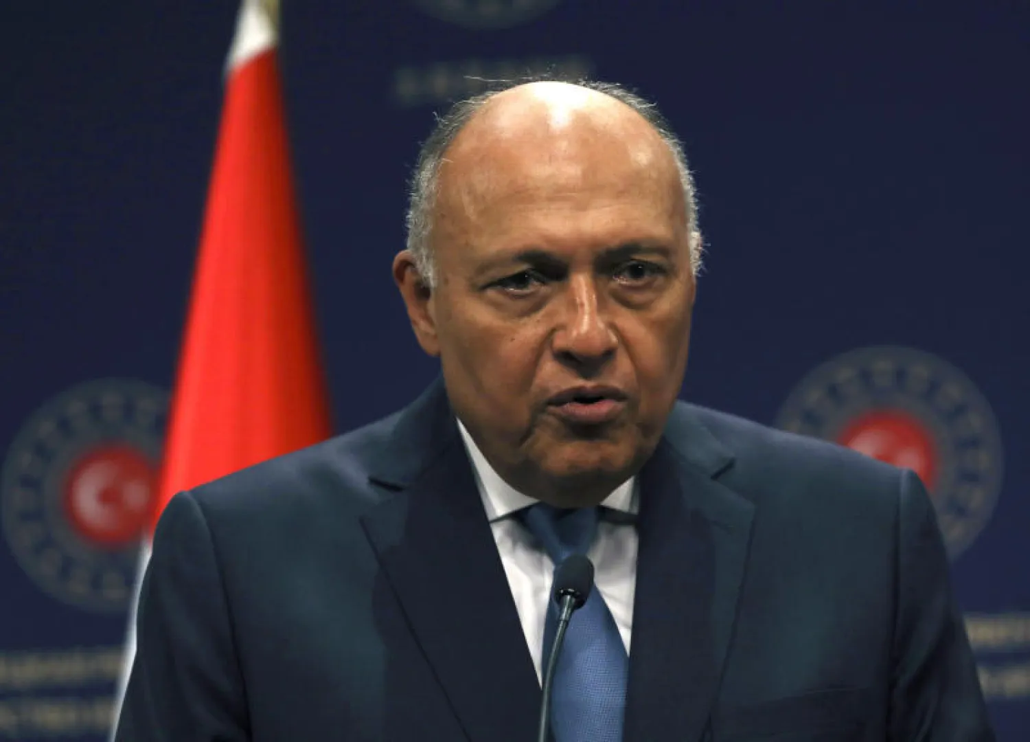 وزير الخارجية المصري سامح شكري (أرشيفية - أ.ب)