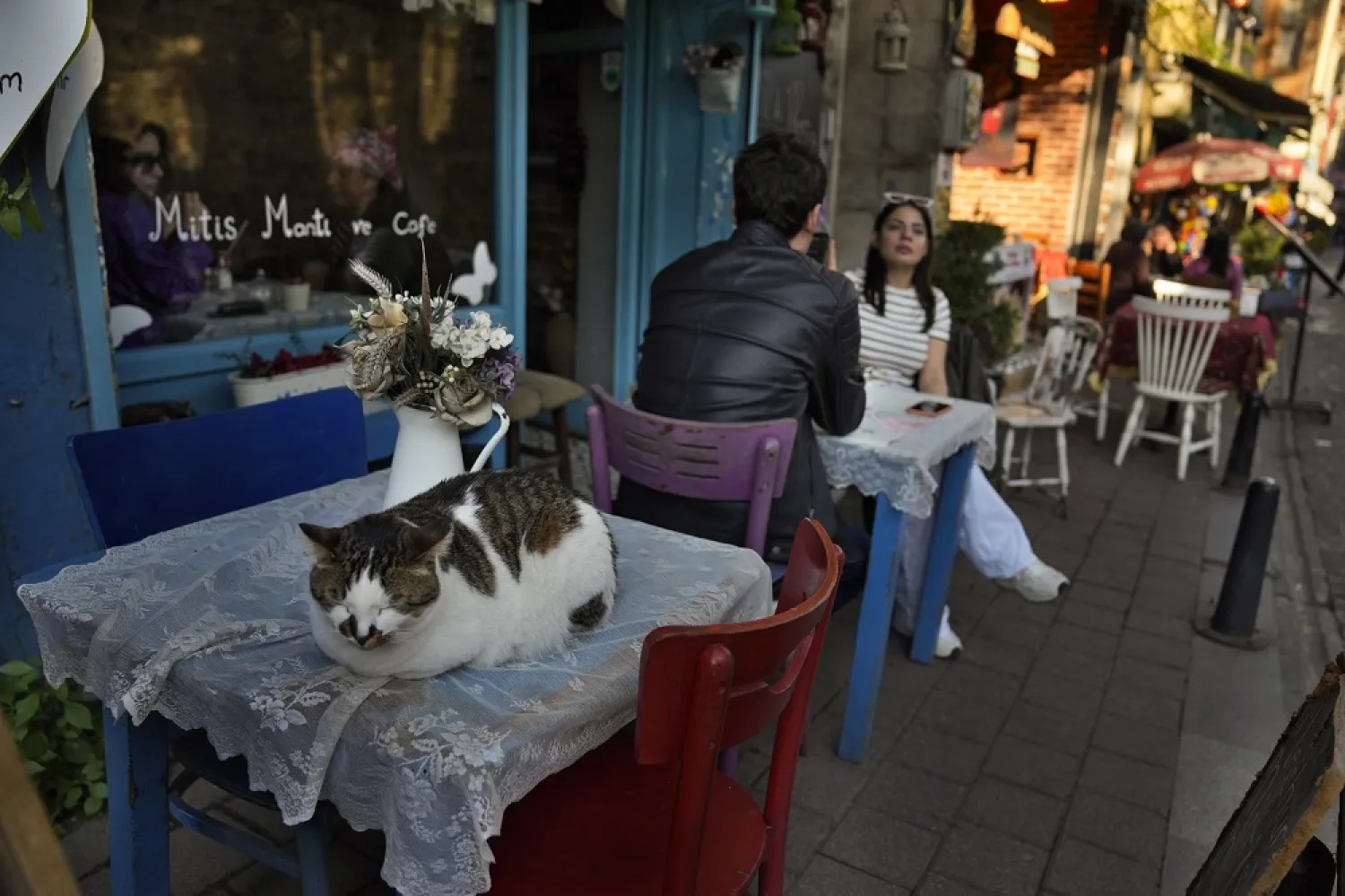 A cat sleeps on a table outside a coffee shop in Balat, Istanbul, Türkiye, Monday, May 1, 2023. (AP)