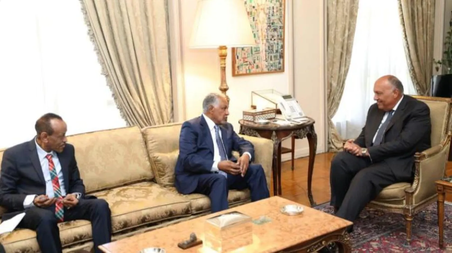 Foreign Minister Sameh Shoukry holds talks with envoy of the Chairman of the Sovereignty Council in Sudan Ambassador Dafallah Haj Ali in Cairo. (Egyptian Foreign Ministry) 