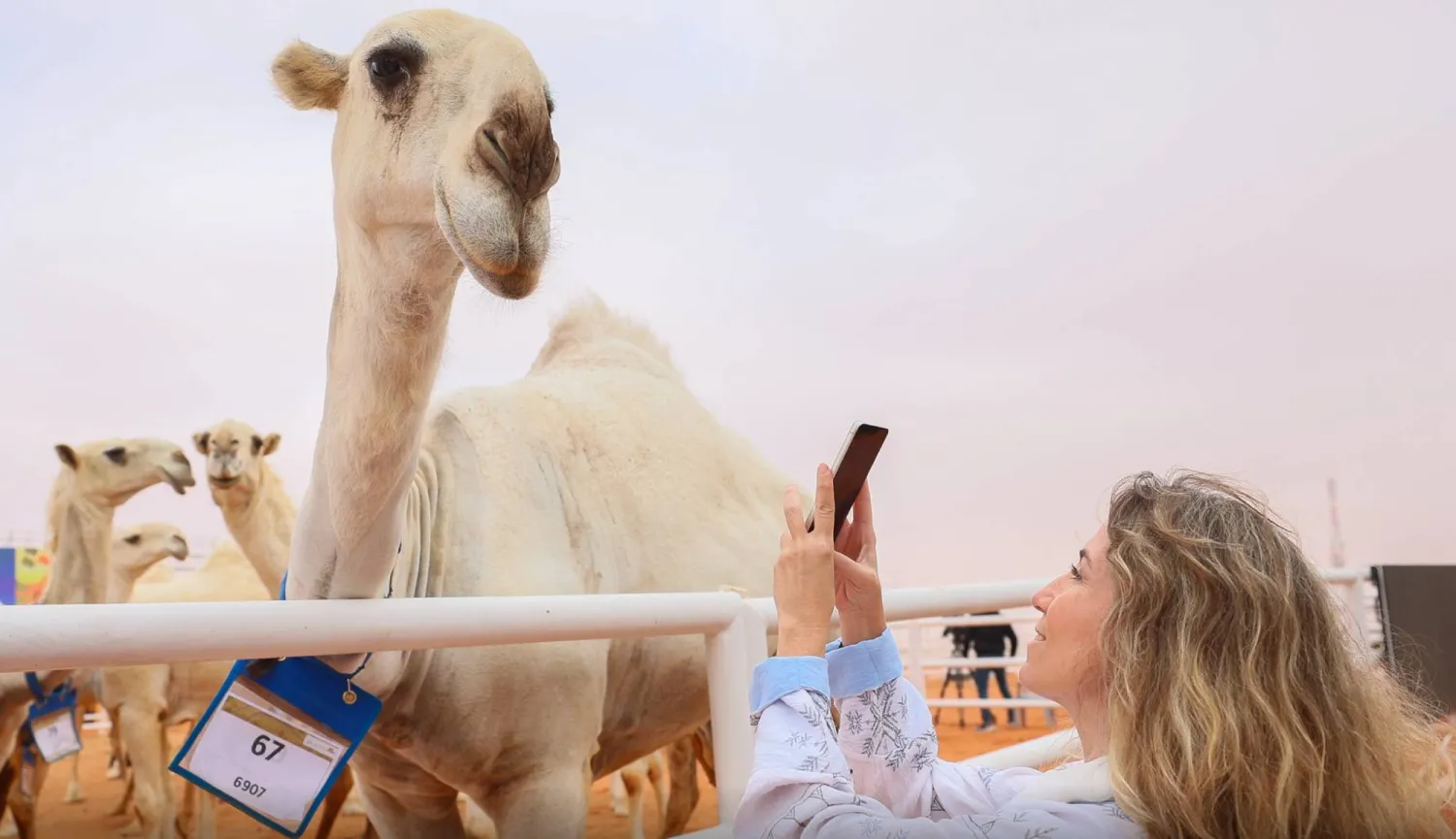 فتاة أجنبية تلتقط صورة خلال زيارتها مهرجان الملك عبد العزيز للإبل (نادي الإبل)