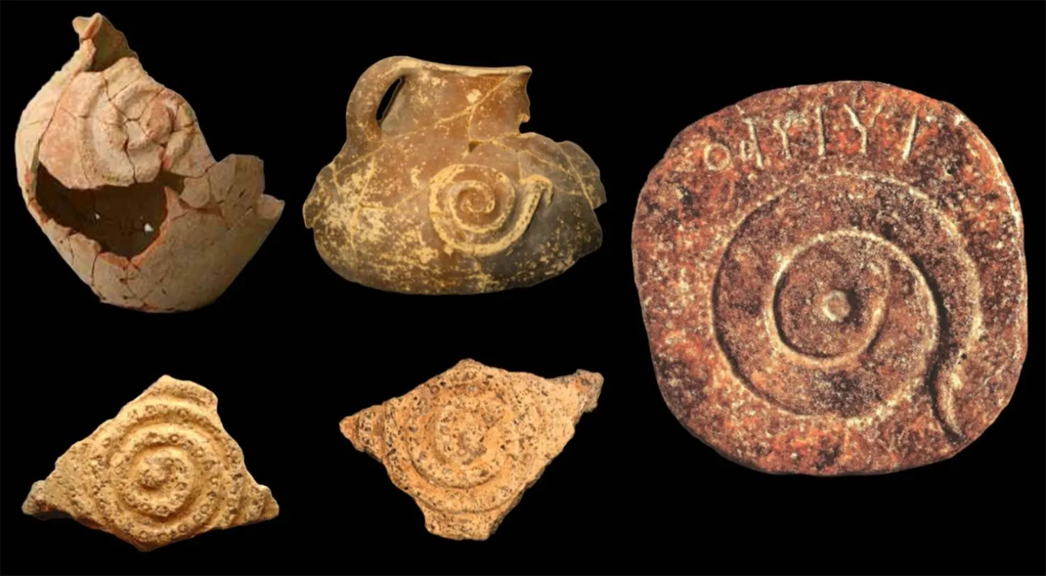 أفعى لولبية من نجران، تقابلها أفاع مشابهة من مواقع في الإمارات العربية المتحدة.